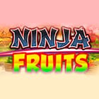 Ninja Fruits game icon